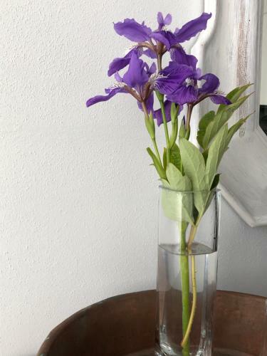 Bed & Breakfast Belcasale
