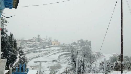 Aaranyam