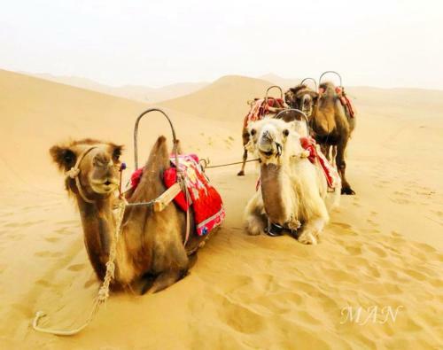 Dunhuang Manman International Desert Outdoor Campground