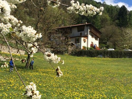 Bed & Breakfast Maso Zont
