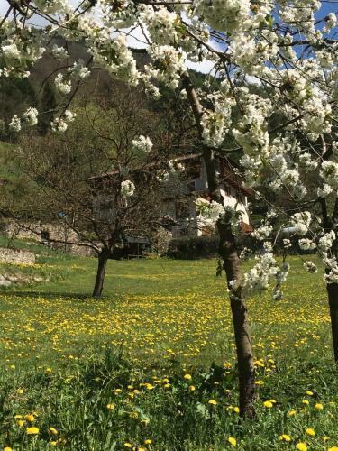 Bed & Breakfast Maso Zont