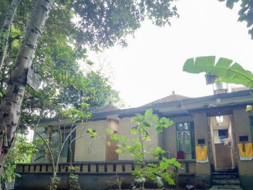 Hotel Daton House Ubud Redpartner