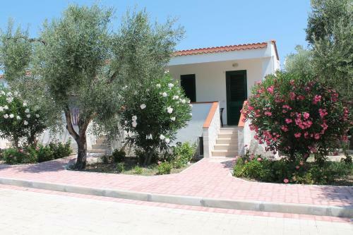 Tenuta Montincello