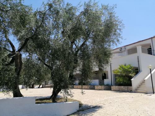 Case Vacanze Villa Elisa