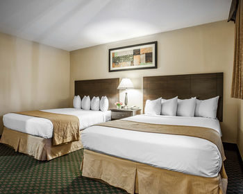 Hotel Quality Inn And Suites