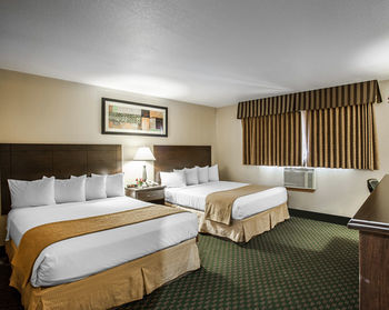 Hotel Quality Inn And Suites