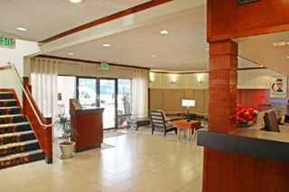 Hotel Best Western Airport Executel