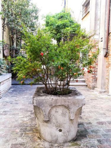 Apartamento Appartamento Corte Bragadin