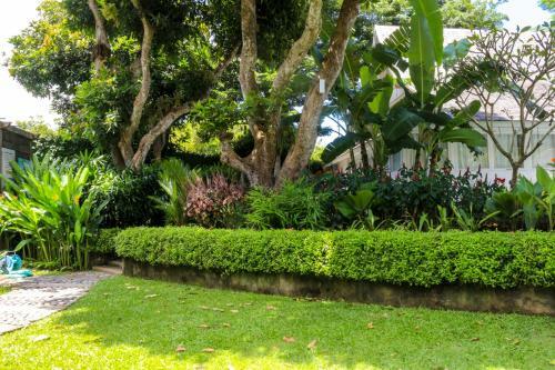 Bed & Breakfast Stone House 1 @chanteak Bali