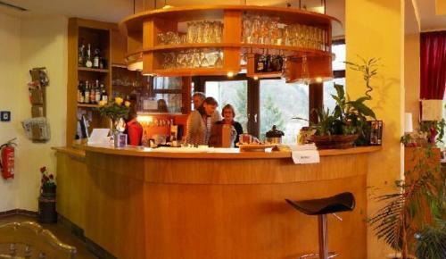 Hotel Zum Neckartal Heidelberg