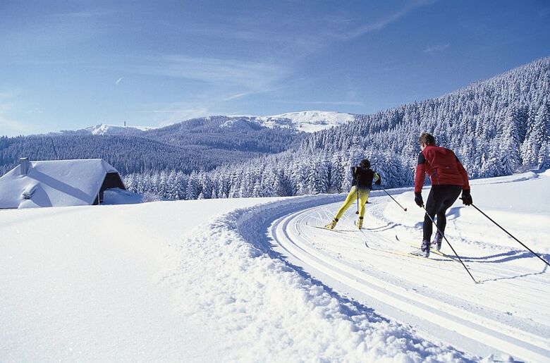 Bio- Und Wellnesshotel Alpenblick