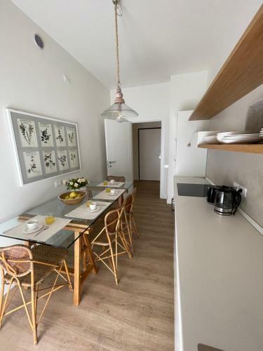 Apartamento Magnifica Vittorio Veneto