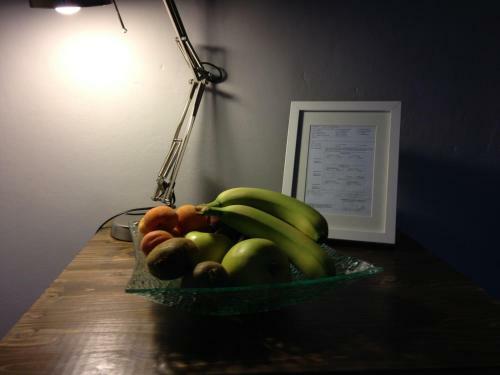 Medoacvs B&B