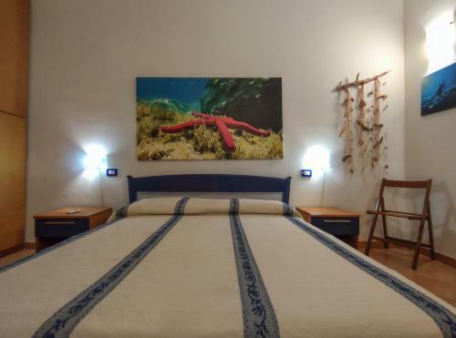 Apartamento Domu Cannuja