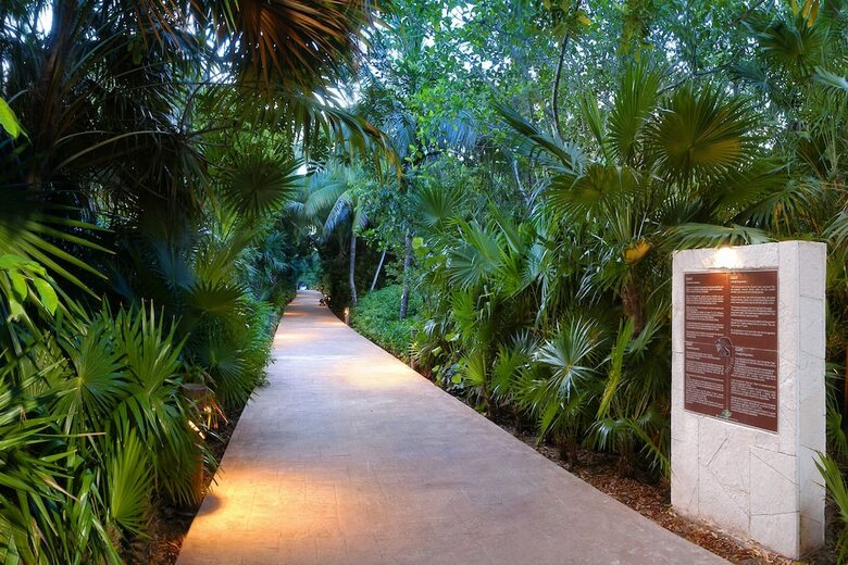 Hotel Catalonia Privileged Maroma - All Inclusive