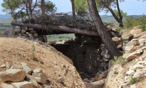 Apartamento La Casa Dels Abeuradors