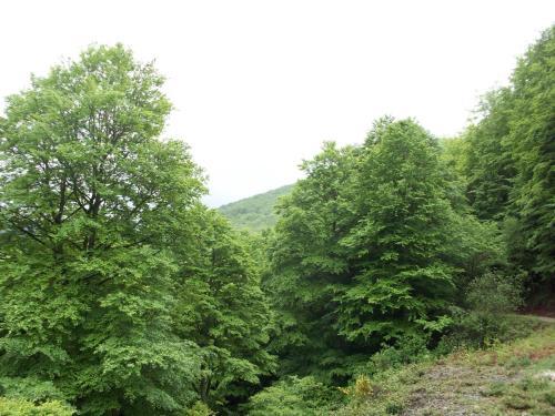 Hostal Rural Arrobi Borda