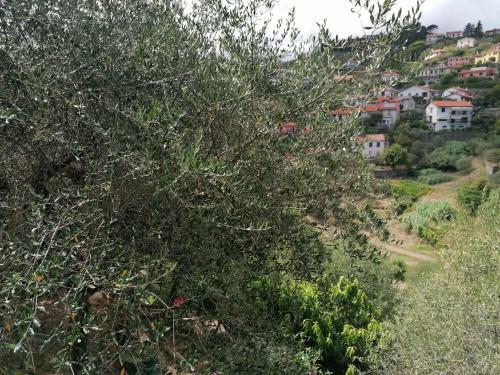 Apartamento Nonna Paola Guest House