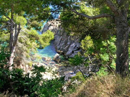 Apartment Santa Agata Calella De Palafrufgell