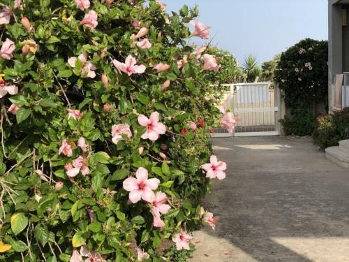 Apartamento Casa Sunshine - Casa Vacanze Al Mare