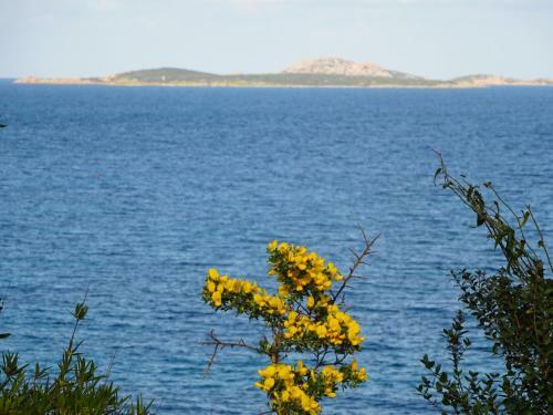 Apartamento Appartamento I Ginepri