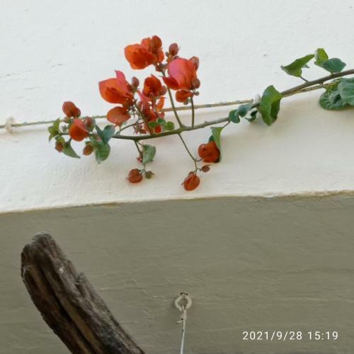 Apartamento Casa Luciano