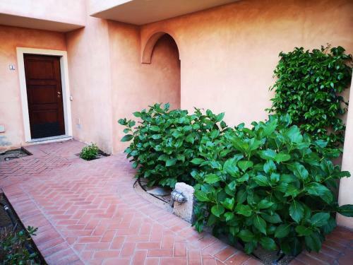 Apartamento The White Sheep - Porto Istana