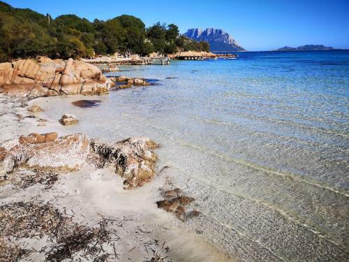 Apartamento The White Sheep - Porto Istana