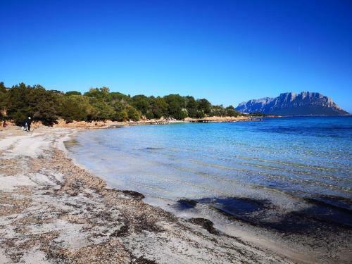 Apartamento The White Sheep - Porto Istana