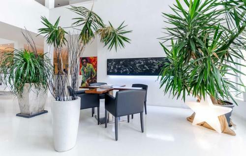 Designhotel Youngstar