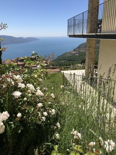 Apartamento Bnb Borgo Le Vigne - L'acqua Vite