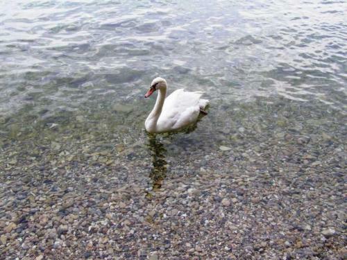 Apartamento Appartamento Lago Di Garda, Gardaland