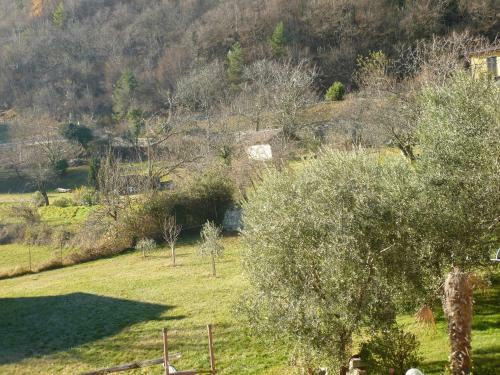 Apartamento Casa Teodoro - Gelsomino & Ulivi