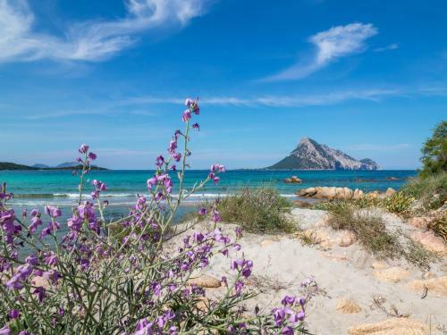Apartamento Myrsine 7d - Klodge