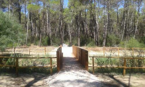 Apartamento Dimora Dei Saraceni