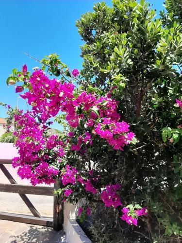Apartamento Appartamento Paradise