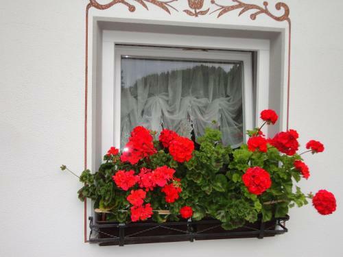 Bed & Breakfast Garni Crepaz