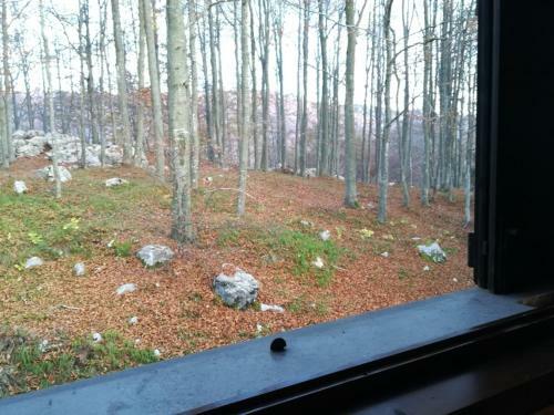 Apartamento Appartamento Piancavallo