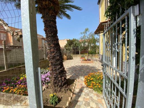 B&B "la Bouganville 1"