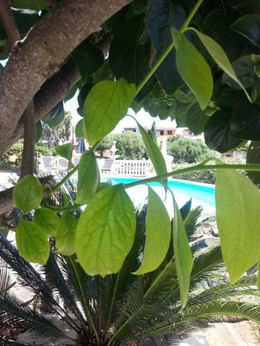 Bed & Breakfast La Finestra Sul Mare