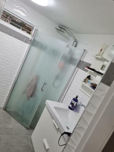 Apartamento Sapir