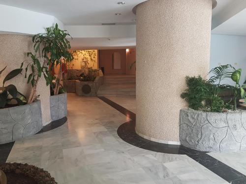 Apartamento Parque Verde