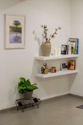 Apartamento ???? ?? ????