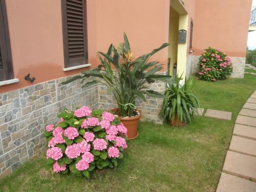 Apartamento Isola Rossa Appartamenti Paduledda