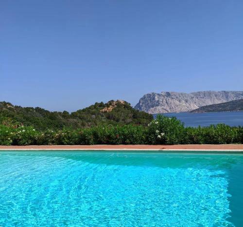 Apartamento San Teodoro Punta Est Trilocale Vista Mare