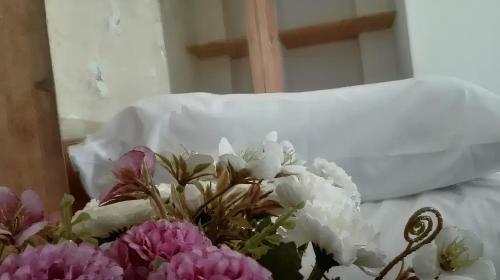 Hostal Villa Degli Alberi