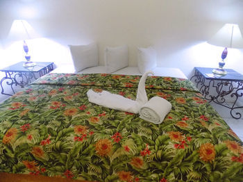 Hotel Las Palomas Express