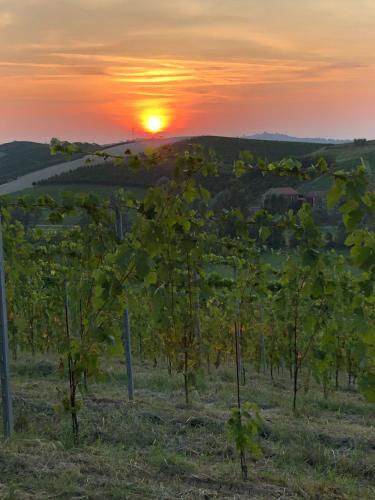 Bed & Breakfast Villa Vigneto
