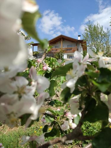 Apartamento Pr�nsterhof Schenna
