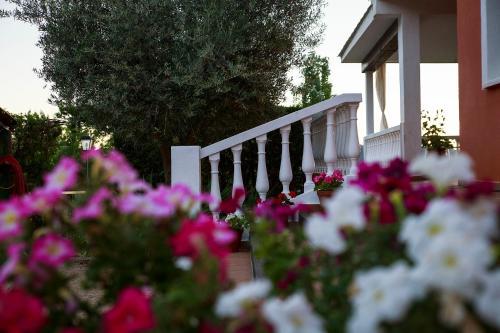 Hotel Val De Pinares